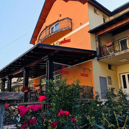 Pensiunea Montana Băile Borşa Esterno foto