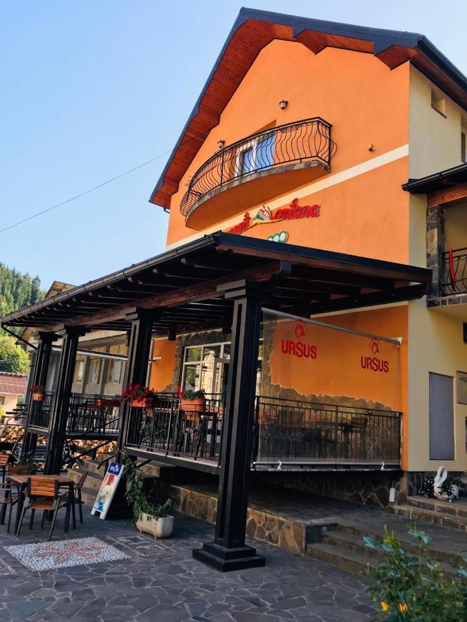 Pensiunea Montana Băile Borşa Esterno foto