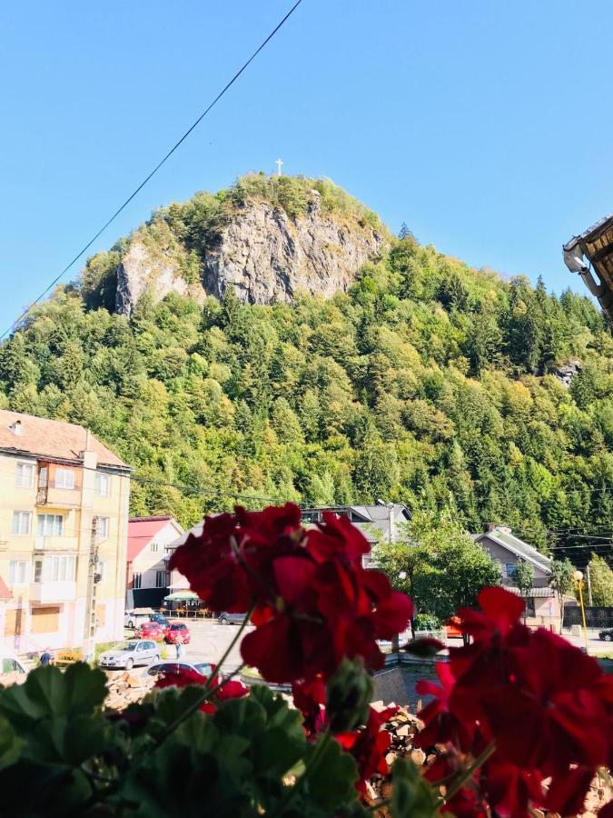 Pensiunea Montana Băile Borşa Esterno foto