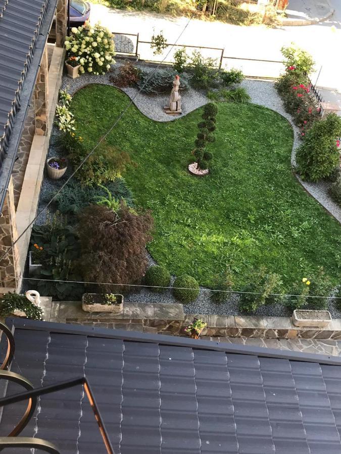 Pensiunea Montana Băile Borşa Esterno foto