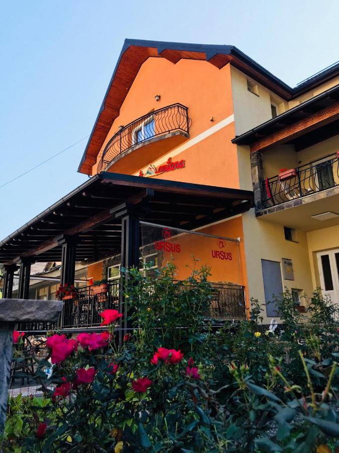 Pensiunea Montana Băile Borşa Esterno foto